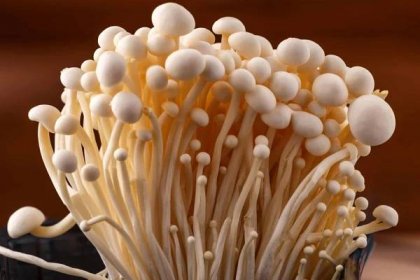 Enoki Mushrooms: A Complete Guide