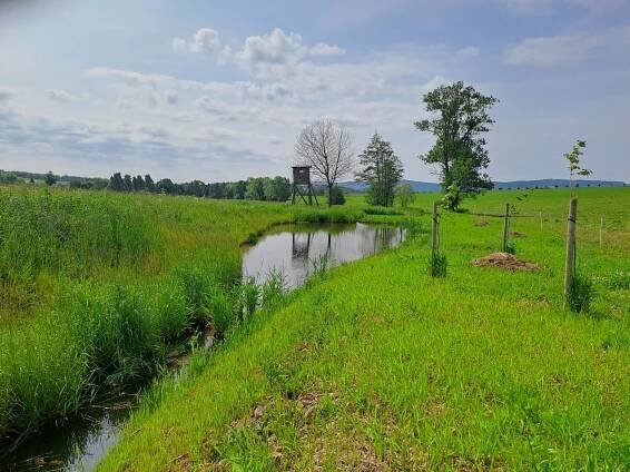 RVT PP Vižňovského potoka, ř. km 0,340 – 1,817 - ST - oblast povodí Labe, Hradec Králové