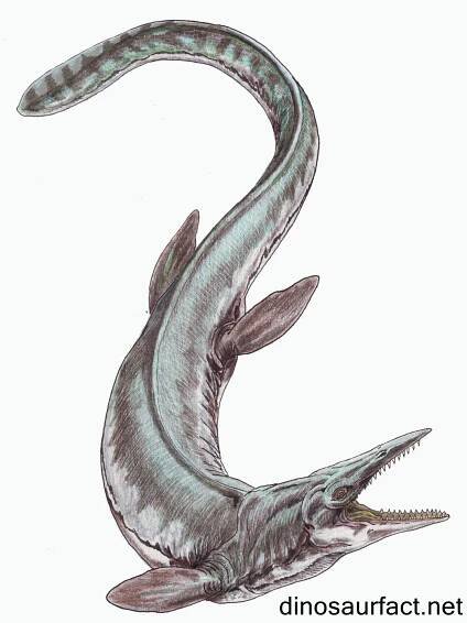 Eonatator dinosaur