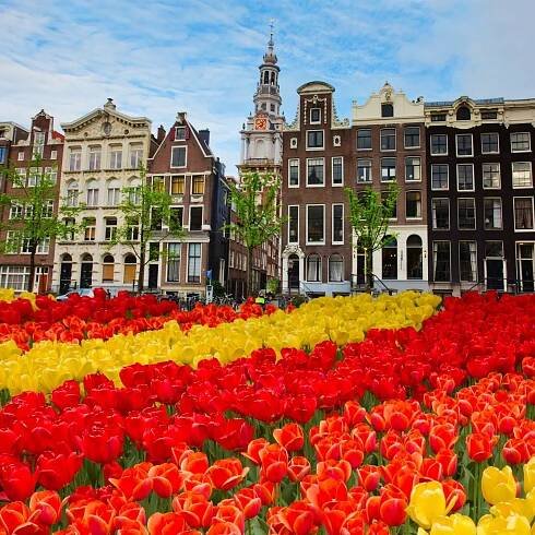 Nálepka tulipány a fasády starých domů v Amsterdamu, Nizozemsko