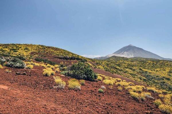 Teneriffa Teide Nationalpark