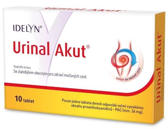 Prochladnutí zánět močových cest nezpůsobí - Lifestylenews