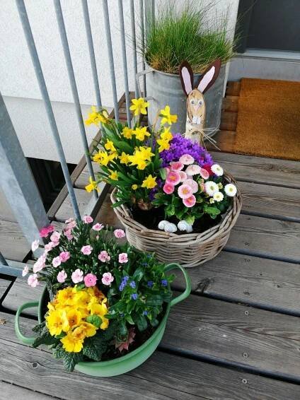 Colorful Flower Baskets for Your Home Decor