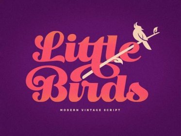 Little Bird: Vintage Script Font