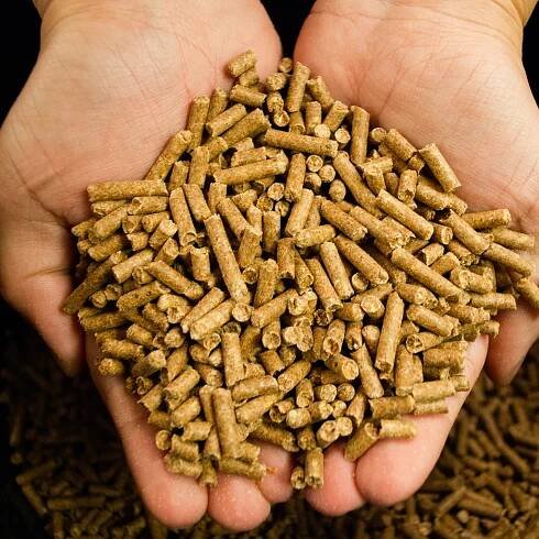 Horse Archives - Coker Feed Mill