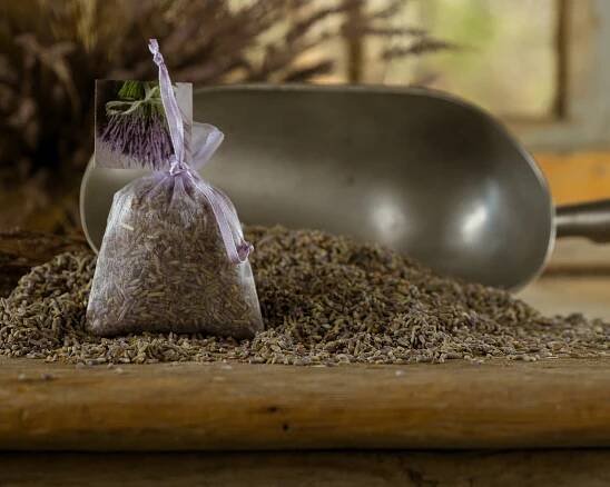 CC Lavender Farm-1025.jpg