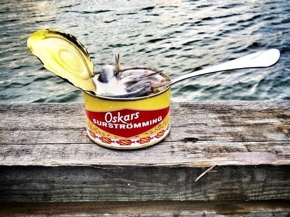 Surströmming or Sour Herring