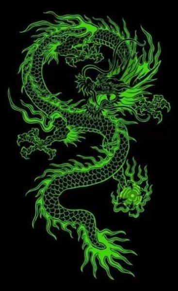 a neon green dragon on a black background