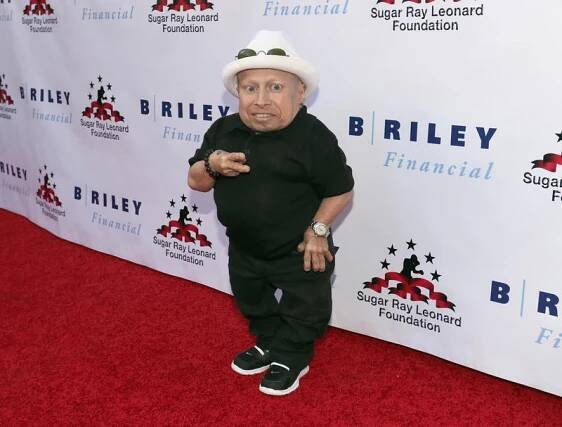 Verne Troyer : 81 centimetrů humoru a depresí