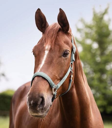Halter Satén