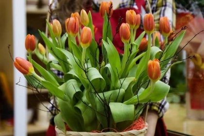 Jak se správně postarat o řezané květiny | Prima nápady