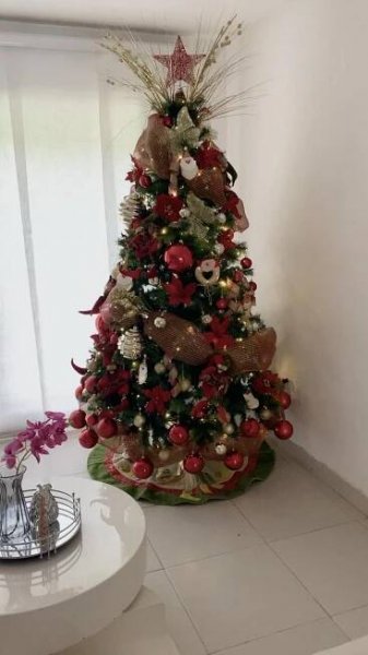 Obsahuje obrázek: Árbol