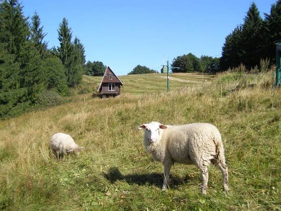 Lysá pod Makytou - Kohútka | Trenčín región