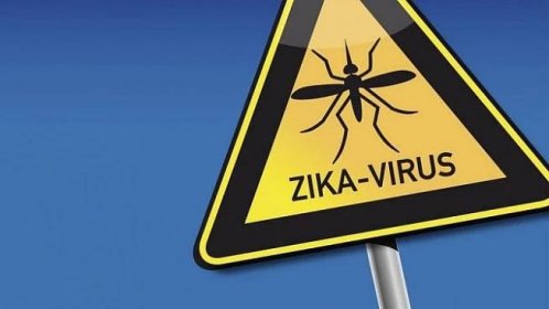 Virus Zika ohrožuje především těhotné ženy. Jak se přenáší? - Zdraví.euro.cz