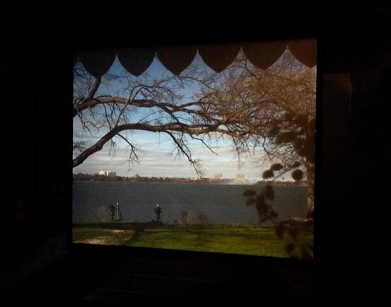 Open House New York: Camera Obscura & Queer Ecologies Photowalk