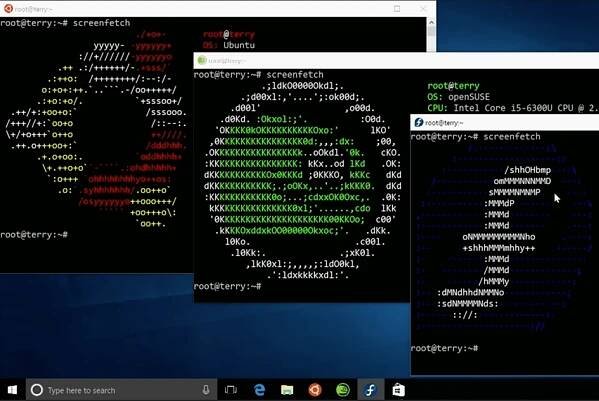 Ubuntu, SUSE Linux, and Fedora are all coming to the Windows Store