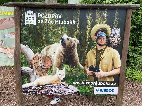 Školní výlet Zoo Hluboká | MŠ Školní