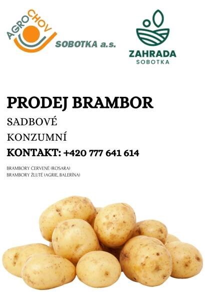 AKTUALITY | MLADĚJOV