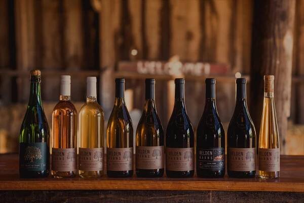 Dark Wine Portfolio