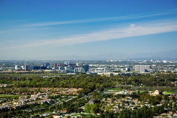 California’s Urban Forests at Risk Due to Drought