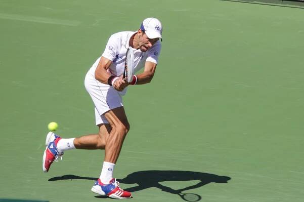 Soubor:Novak Djokovic @ BNP Paribas 2012 Open.jpg – Wikipedie