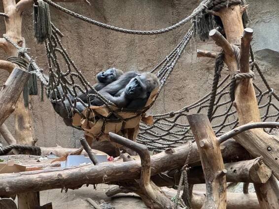 Adventní poznávací zájezd - ZOO Lipsko. - Oficiální stránky ZŠ a MŠ Nové Dvory