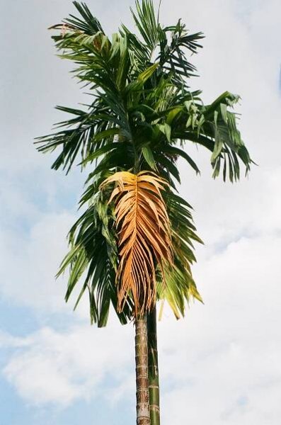 Phuket, Thailand — iamhay.online