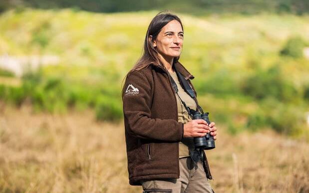 Where to spot brown bears in northern Spain