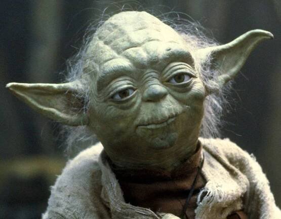 A Biography of Diminutive Jedi Master Yoda