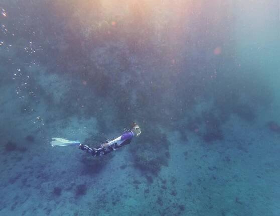 About Sataya Reef - Al Thuraya Red Sea