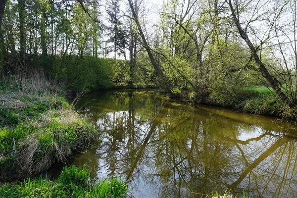 Moravská Dyje: Kouzelné moravské meandry v Jihočeském kraji | Vodárenství.cz