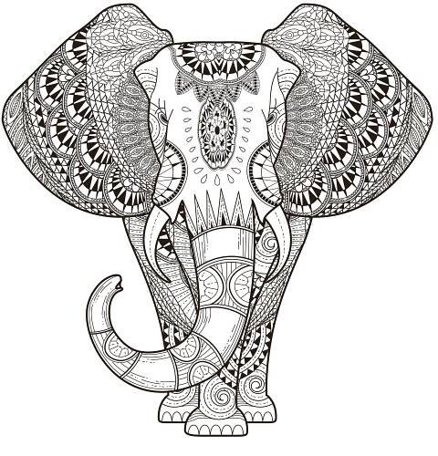 Perfektní sloní mandala