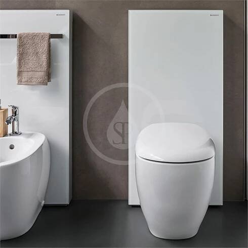 Geberit Monolith - Sanitární modul pro stojící WC, 101 cm, boční přívod vody, bílá 131.003.SI.5 | WC | Podomítkové moduly