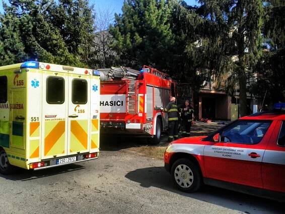 Ke kurióznímu zásahu vyjížděli kladenští profesionální hasiči se… | POŽÁRY.cz - ohnisko žhavých zpráv | hasiči aktuálně