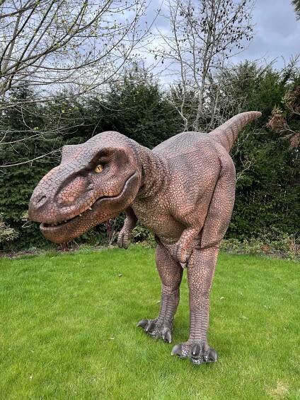 Živý Dinosaurus T-REX – Půjč si hrad
