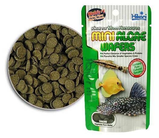 HIKARI Mini Algae Wafers 85 g - Habeo.cz
