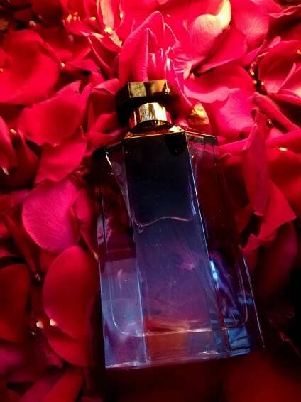Stella (2014) Stella McCartney pro ženy