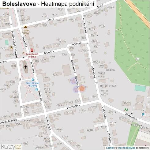 Mapa Boleslavova - Firmy v ulici.
