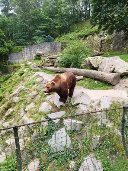 Červen - ZOO Děčín - Oficiální stránky MŠ Chotiměř