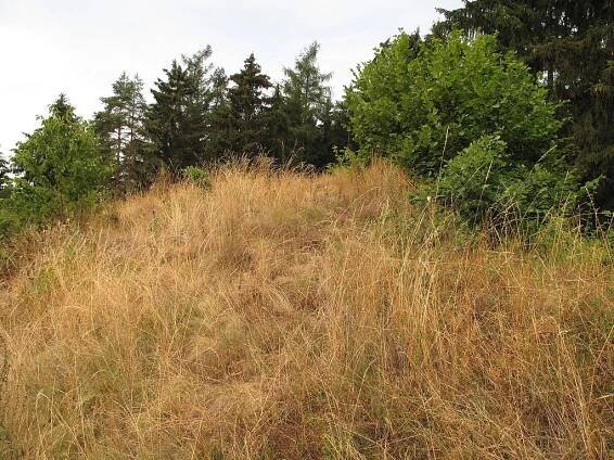 Příšov - ubytování, počasí, foto, tipy na výlet, informace