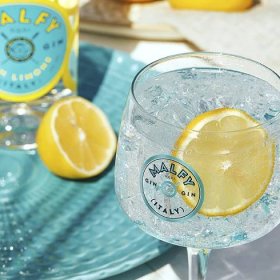 Malfy Gin Con Limone - Ochucený Gin | Svět nápojů