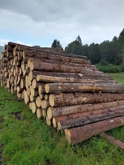 ForesTrade: Prodejní jednotka číslo 72022 - 146