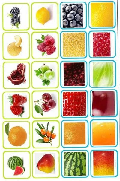 Fun and Educational Activities for Kids