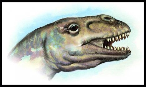 ABC dinosaurů: Riojasaurus, desetimetrový býložravec vážil tuny