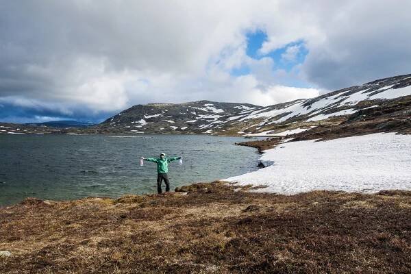 Dovrefjell – Sunndalsfjella National Park