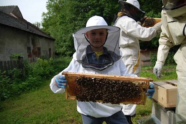 FOTO: Rodinná včelí farma v Dubičné láká školáky i dospěláky
