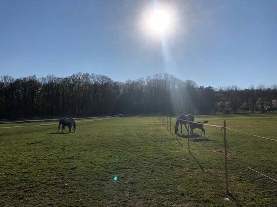 Jezdecký areál Ranch: Koňské království rodiny Opatrných v Hořovicích | Jezdci.cz