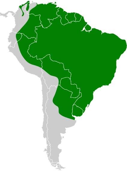 Soubor:Phaetusa simplex map.svg – Wikipedie