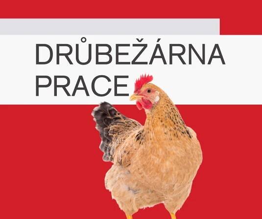 Prodej drůbeže a krmiv / DRŮBEŽÁRNA PRACE