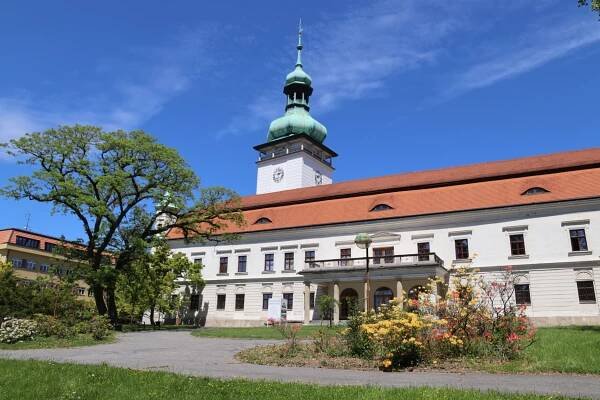Obrázek